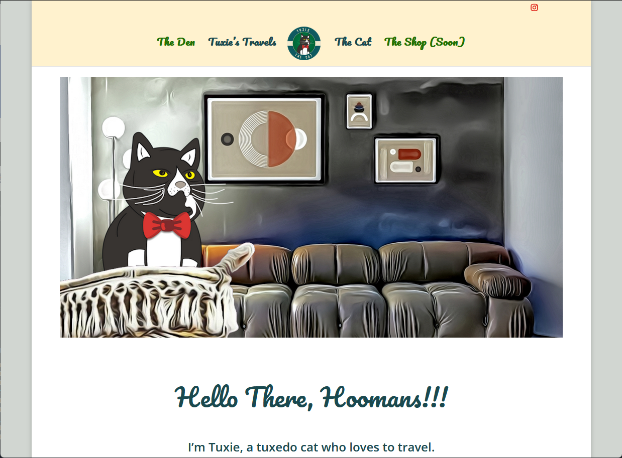 Tuxie The Cat
